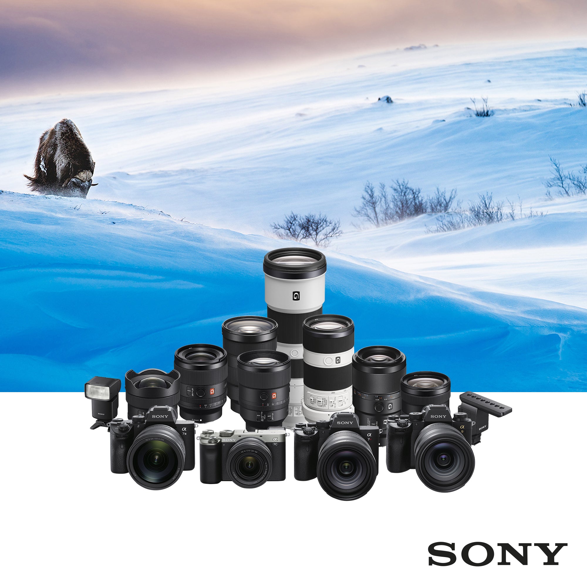 New Winter Cashback from Sony