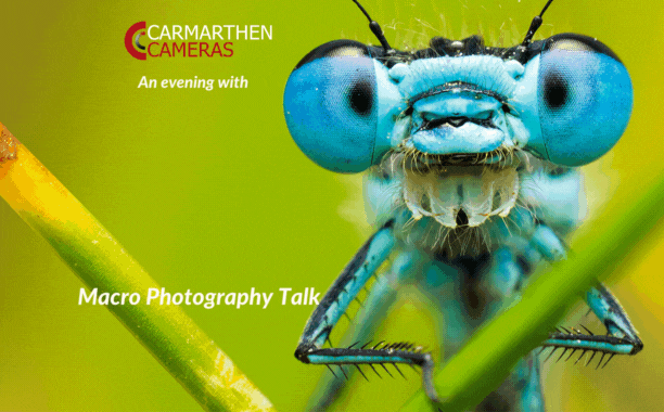 EVENT - Geraint Radford - Macro