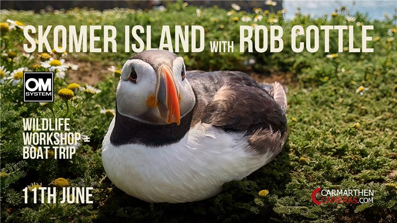 Skomer Island Photography Trip with Rob Cottle - OM System Ambassador