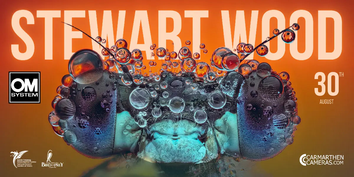🔍 Guest Expert: Stewart Wood – Macro Photography Workshops at the Welsh Birdwatch Optics Show 2025