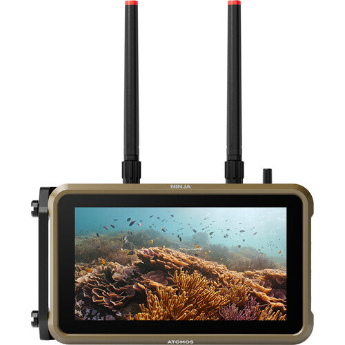 CLEARANCE Atomos Ninja 5.2" 4K HDMI Recording Monitor