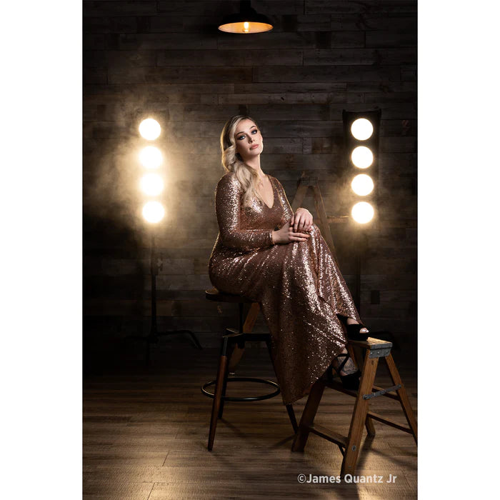 Westcott Pro Light Mods 1x3 (2-Pack)