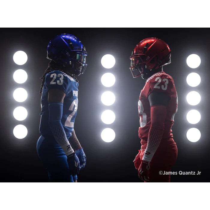 Westcott Pro Light Mods 1x4