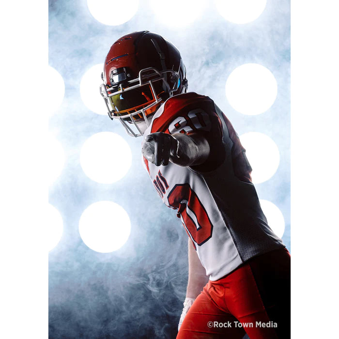 Westcott Pro Light Mods 2x3 (Standard)