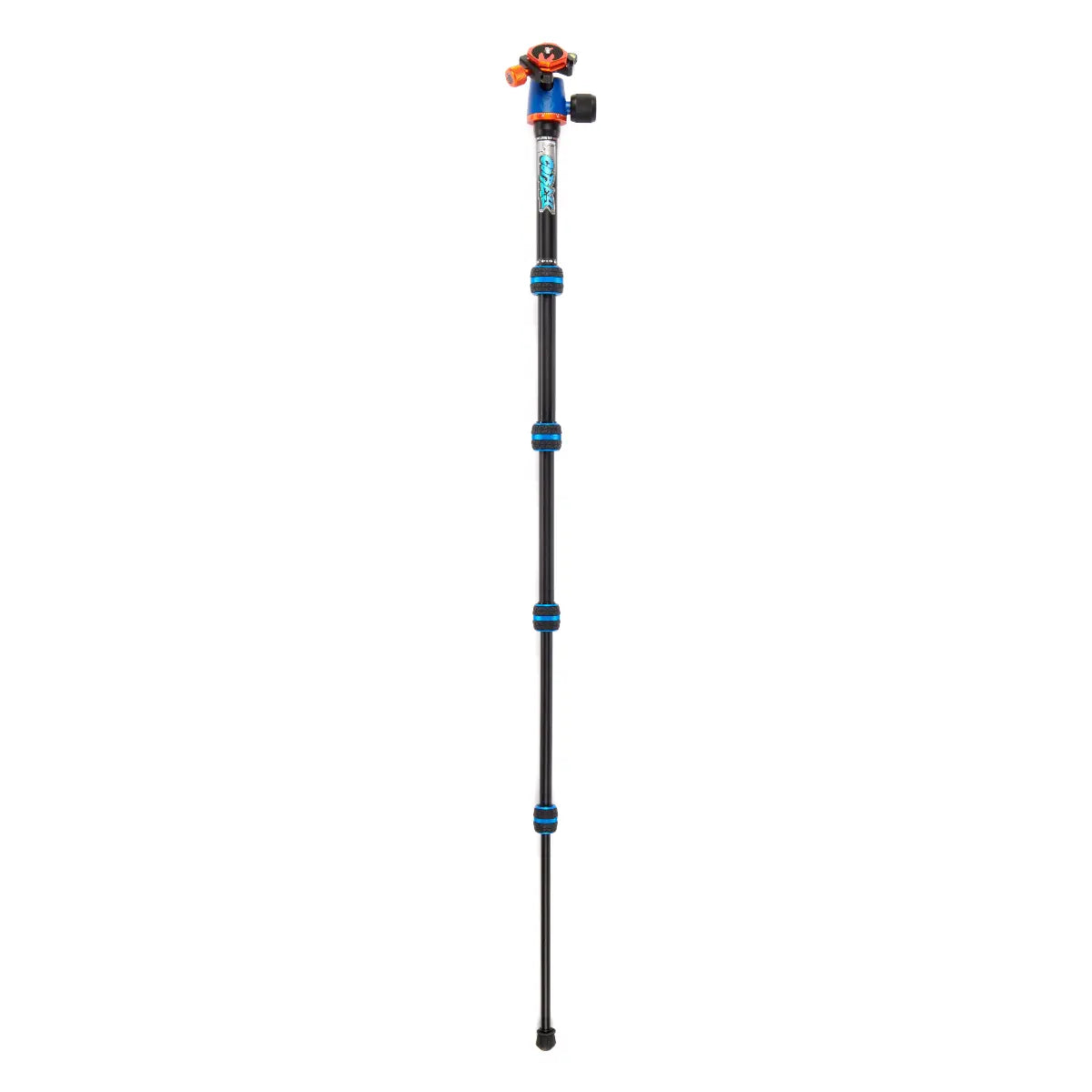 Pair of hiking poles with blue and black design on a white background