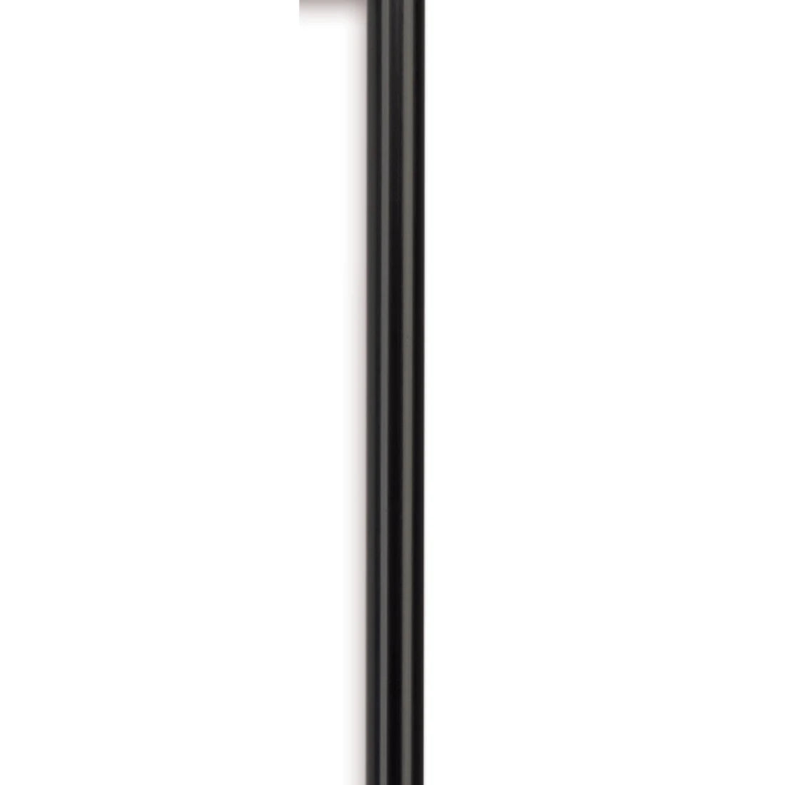 Black vertical frame on a white background