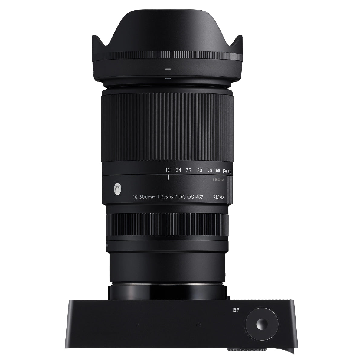 Sigma 16-300mm F3.5-6.7 DC OS Contemporary on sigma camera