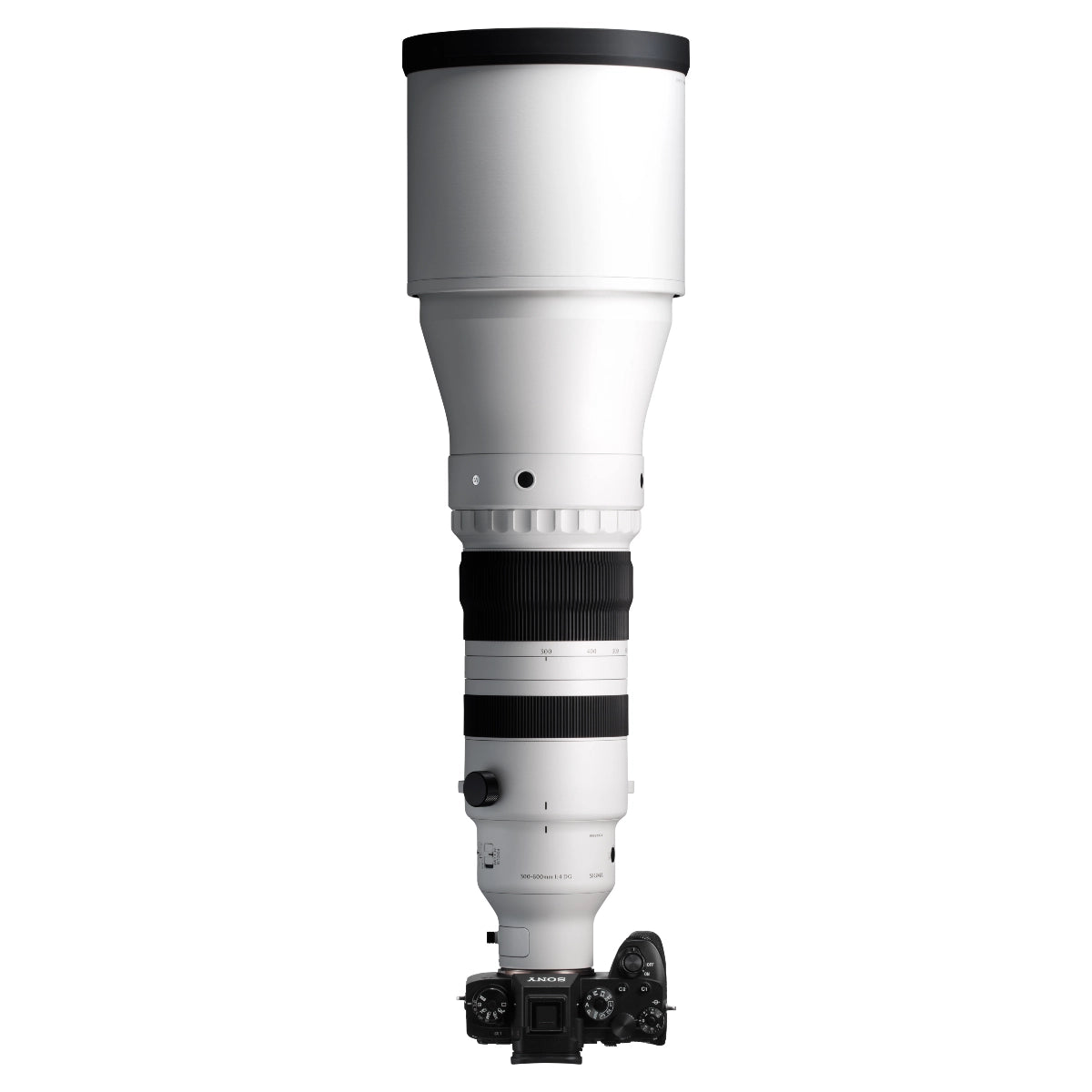 Sigma 300-600mm F4 DG OS Sports top angle on sony camera