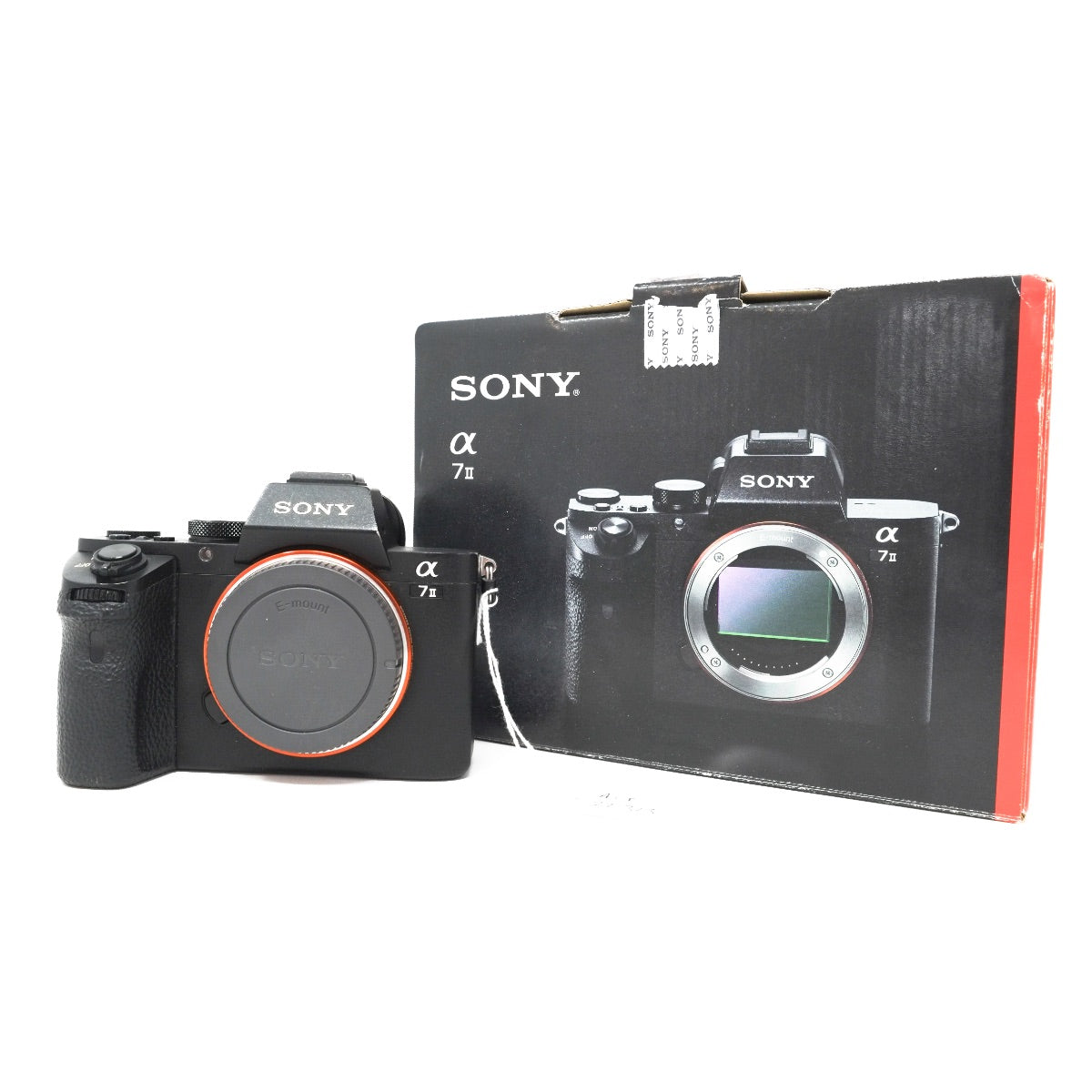 Use Sony A7 Mark II Mirrorless camera