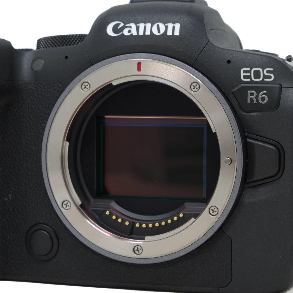 Canon EOS R6 camera body on a white background