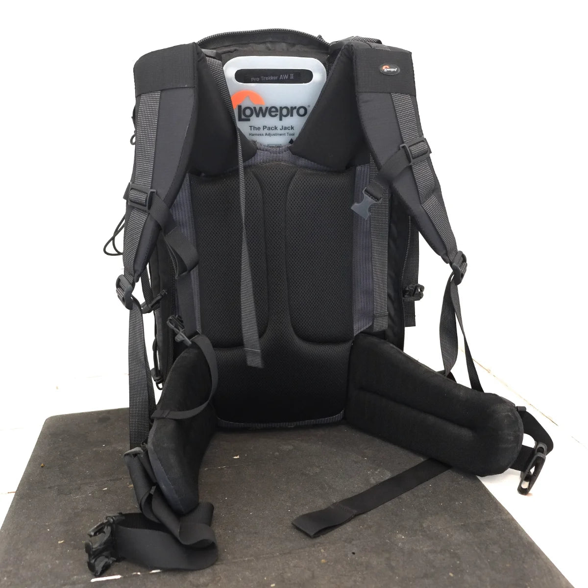 Used Lowepro ProTrekker AW II large Photo backpack - back angle