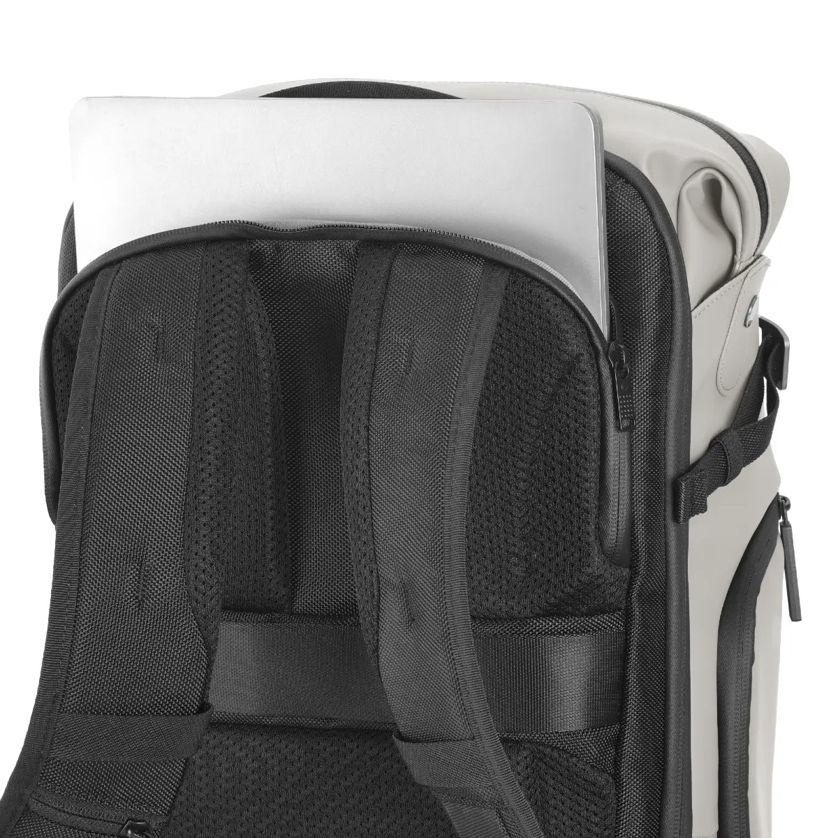 Close-up of a backpack's back panel with straps on a white background