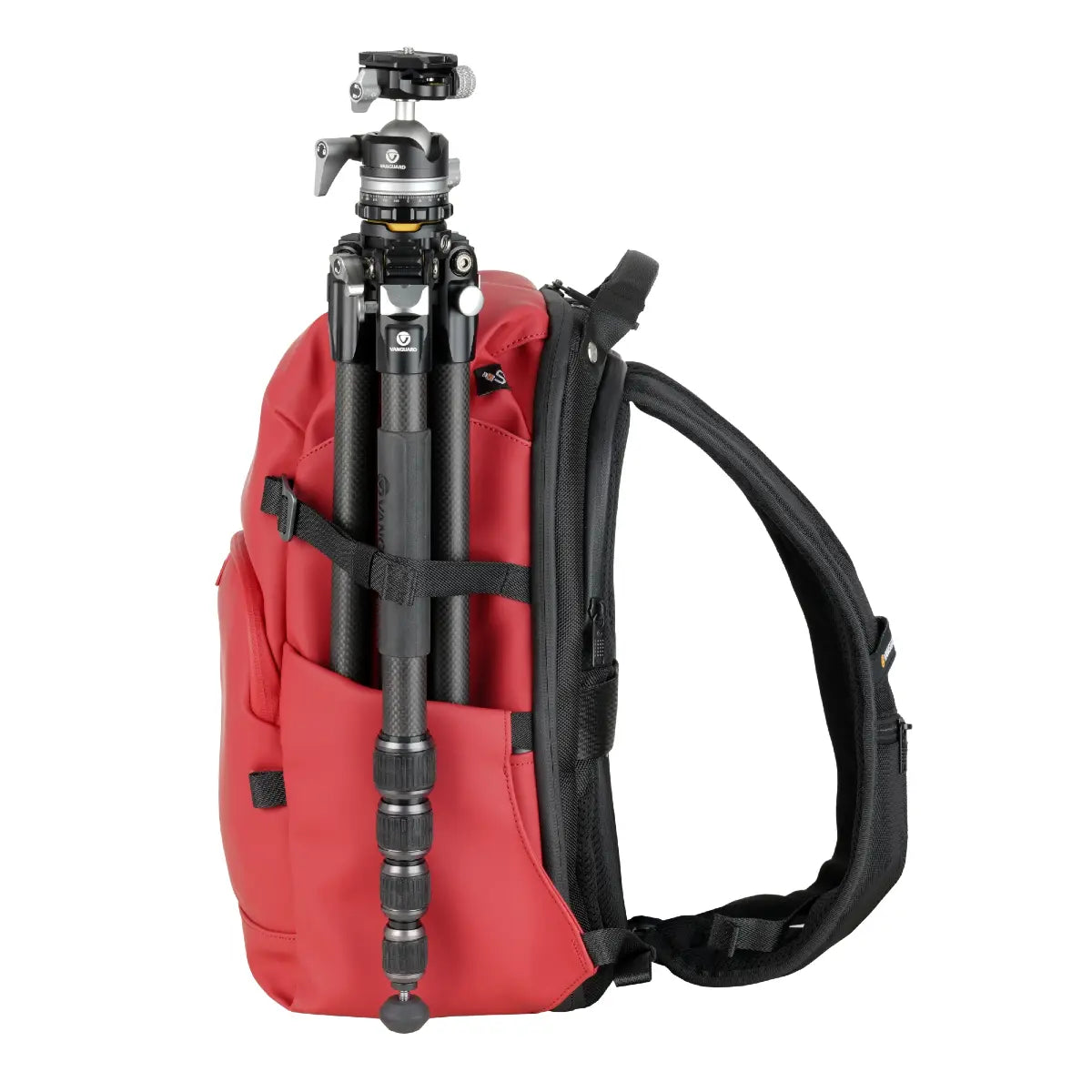 Red backpack with a camera tripod attached on a white background