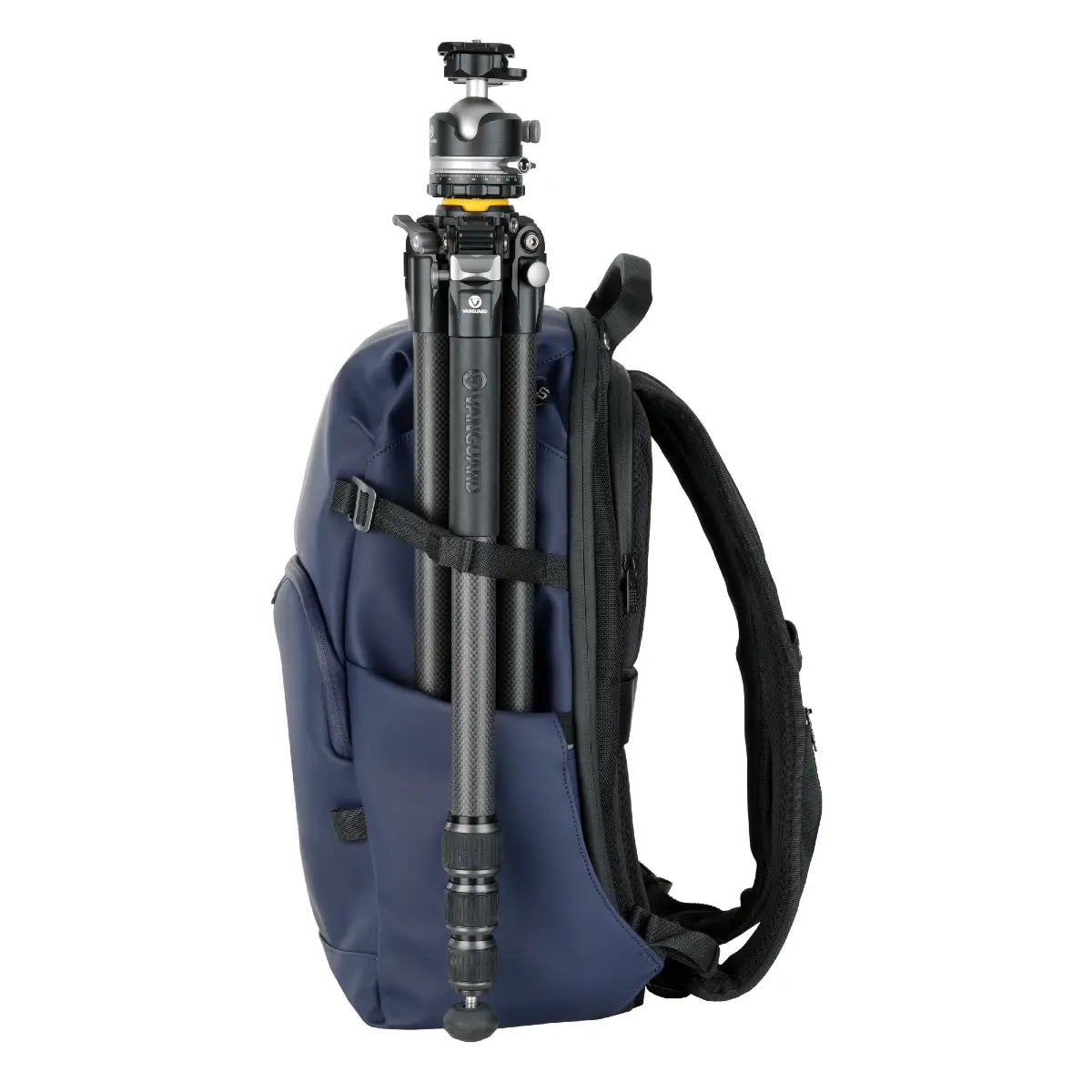 Blue backpack with a camera tripod inside on a white background