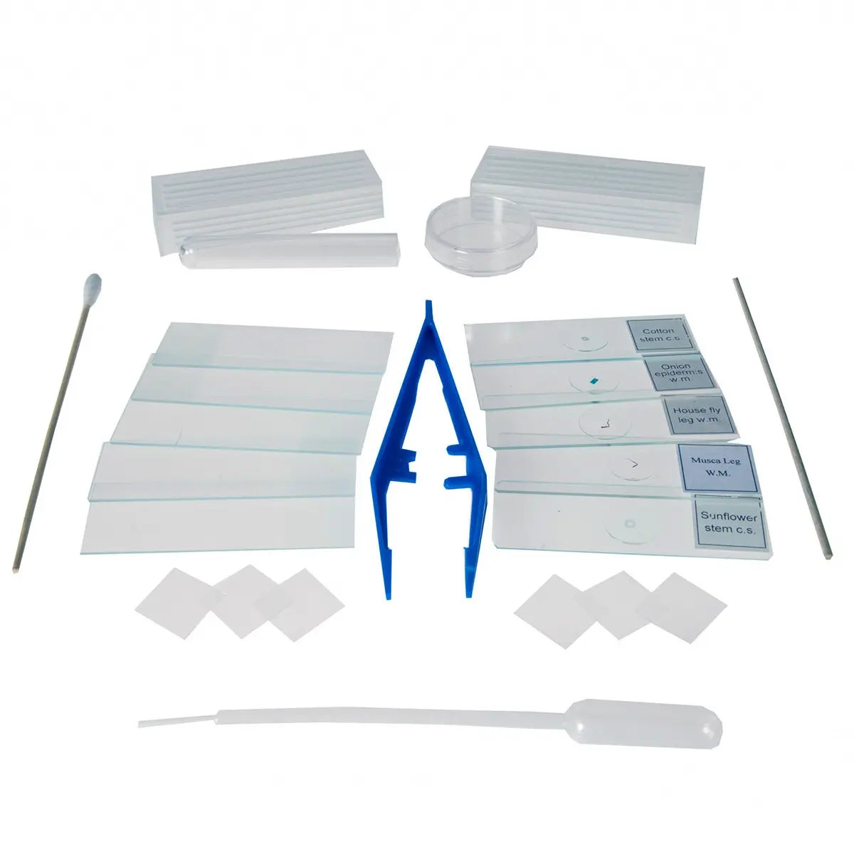 Collection of laboratory tools and reagents on a white background