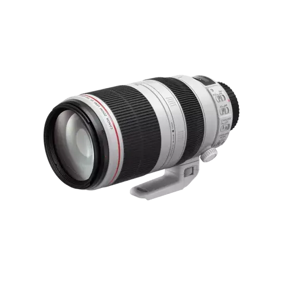 Canon EF 100-400mm f4.5-5.6 L IS II USM Lens