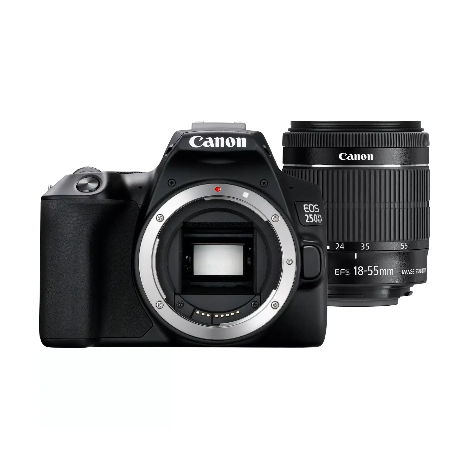 Canon EOS 250D Digital SLR Camera with 18-55mm IS STM Lens