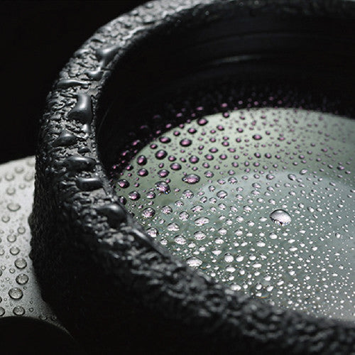 Vanguard Endeavor ED II 10x42 Binoculars