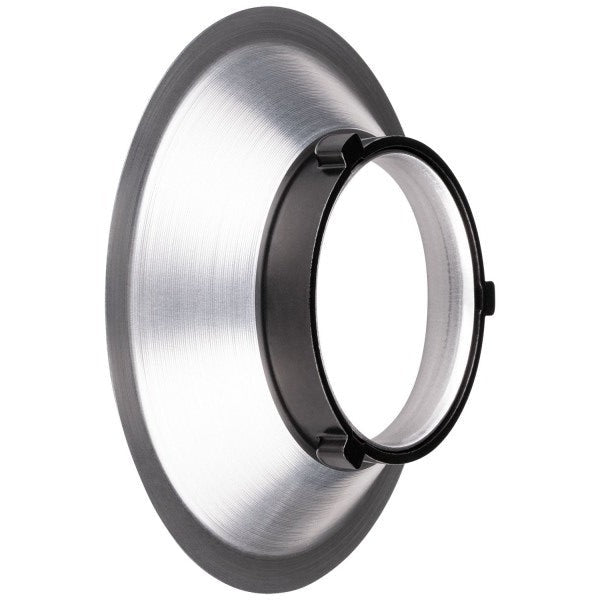 Westcott Switch Insert (Westcott Mini, FJ200, L60-B) 2545