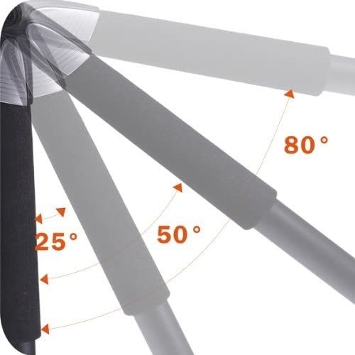 Vanguard Alta+ 253CT Carbon Tripod