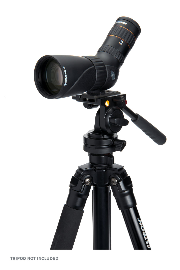 Celestron 9-27x56mm Hummingbird ED Micro Spotter - Black