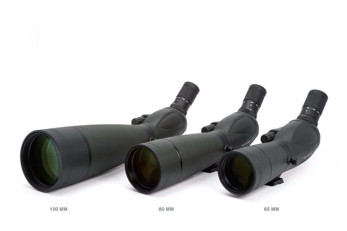 Celestron TrailSeeker 100 Angled Spotting Scope
