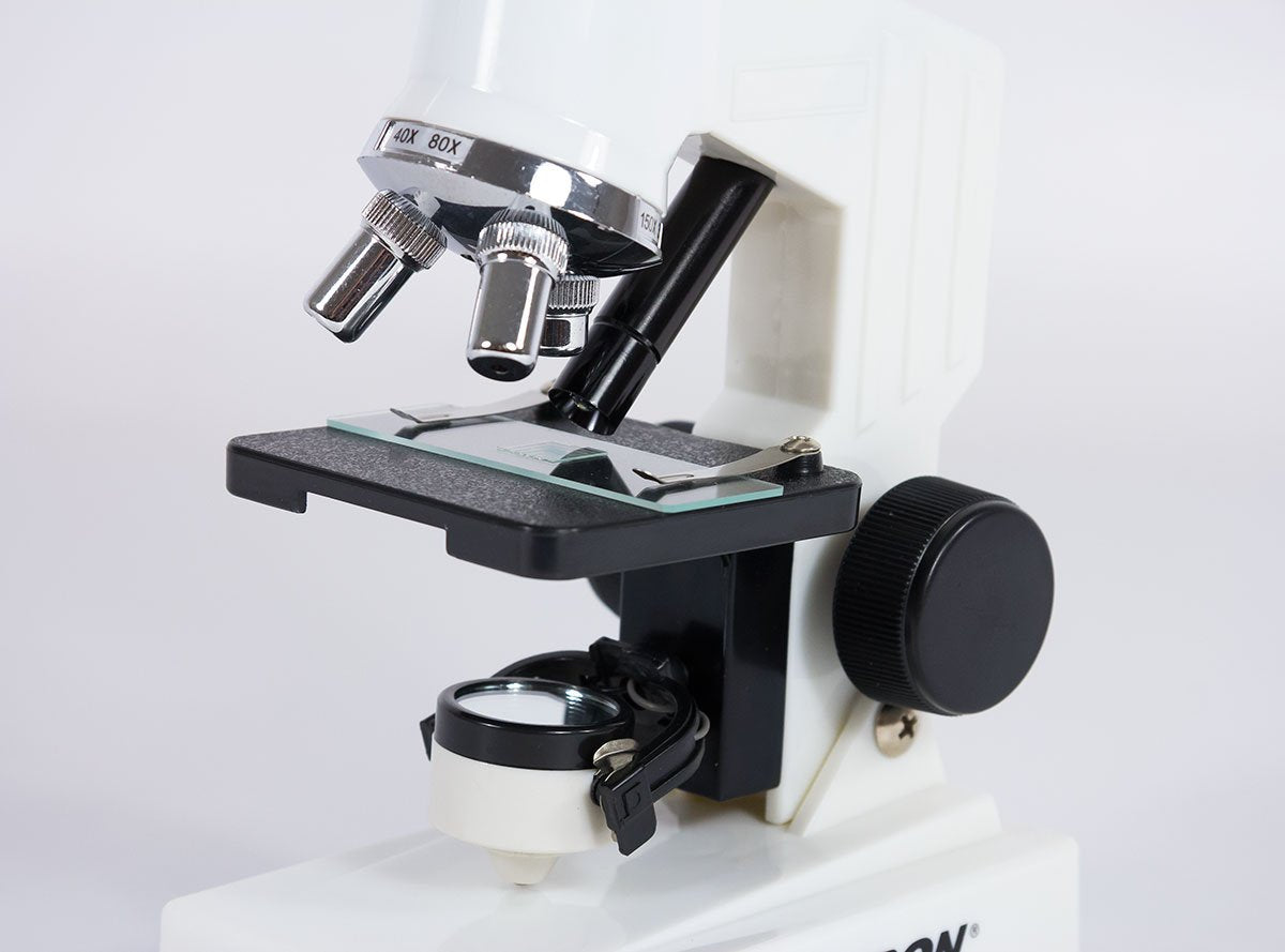 Celestron Optical Microscope - 600x Magnification
