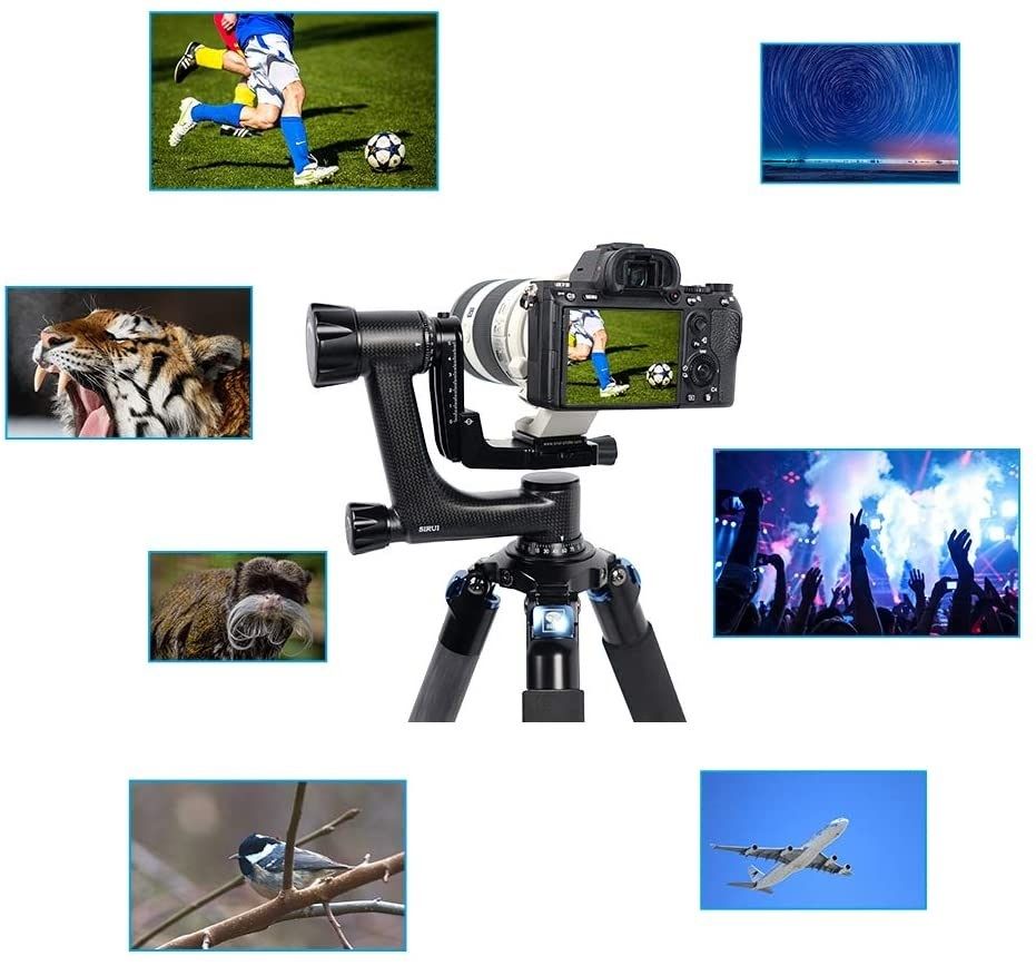 SIRUI PH-10 Gimbal Carbon Fiber Tripod Head