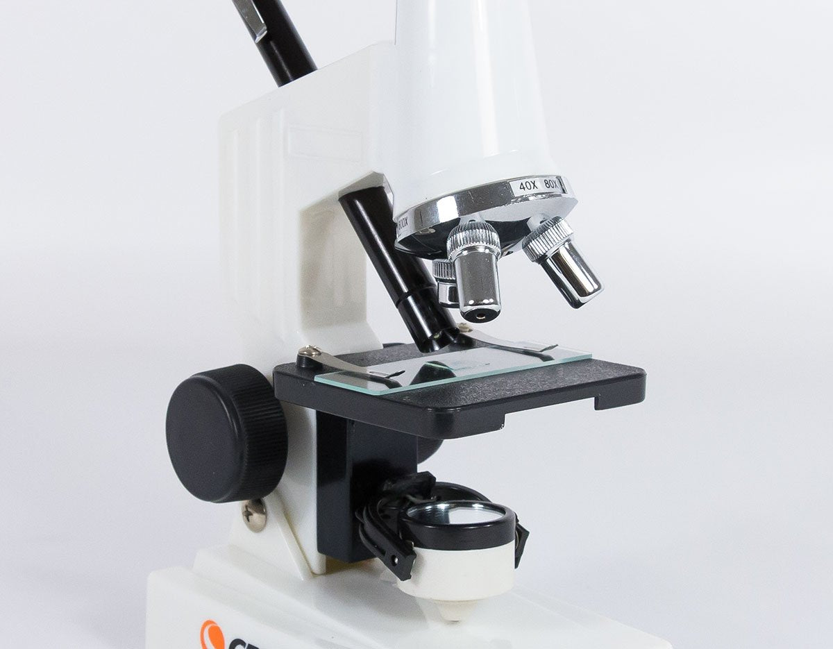Celestron Optical Microscope - 600x Magnification