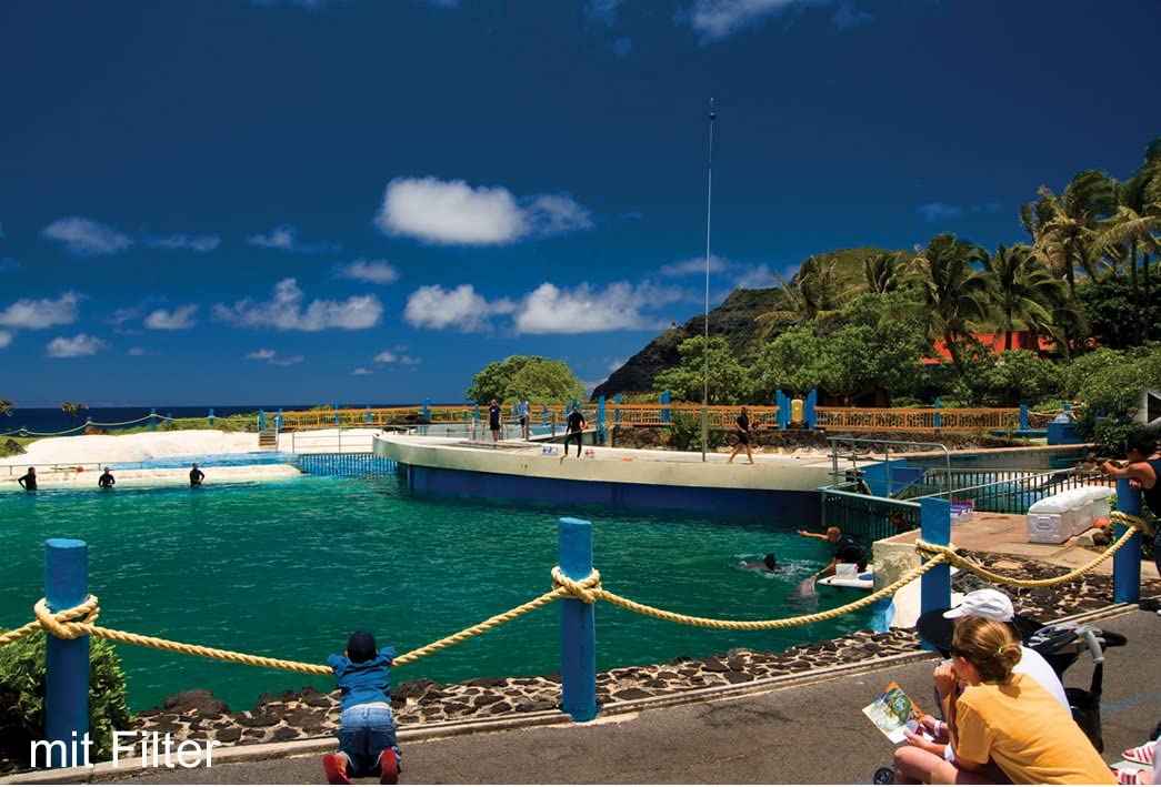 Kenko 52mm Zeta Circular Polarizer