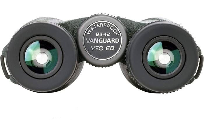 Vanguard VEO ED 8x42 Binoculars