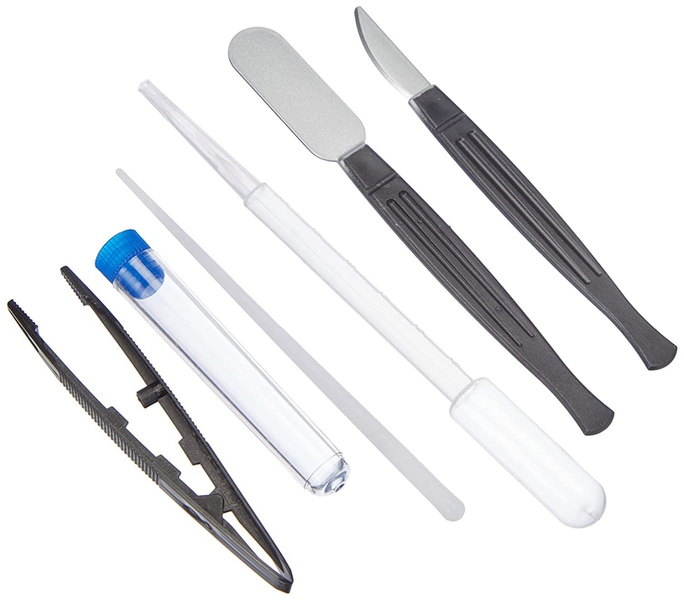 National Geographic Microscope 300x-1200x