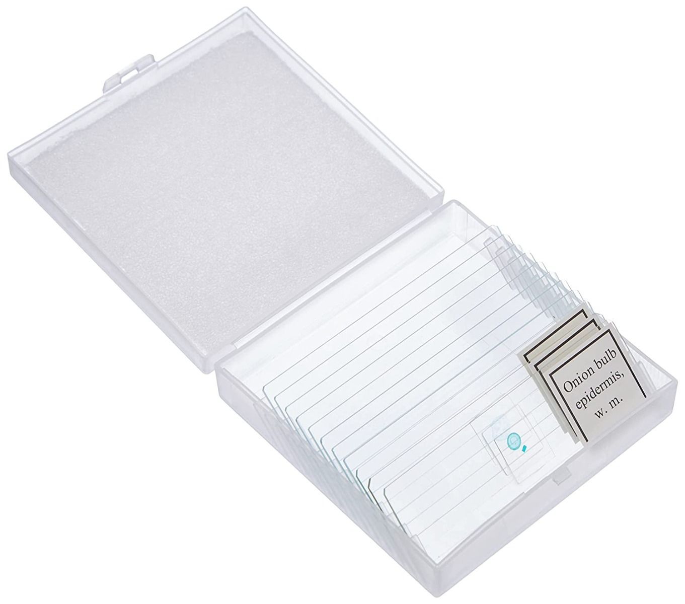 National Geographic Microscope 300x-1200x