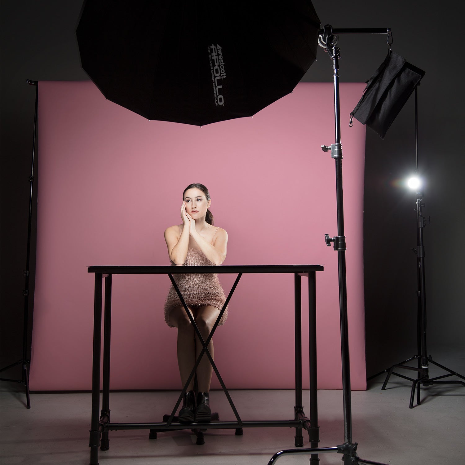 Westcott Mini Boom Arm and Weight Bag