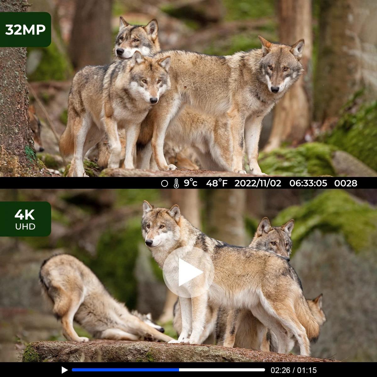 K&F Concept 4K Trail Camera