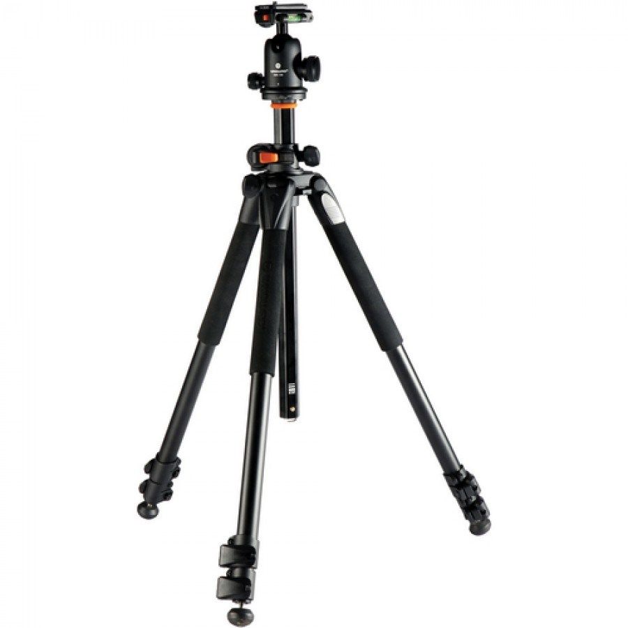 Vanguard Alta Pro 263AB 100 + SBH-100 Ball Head tripod