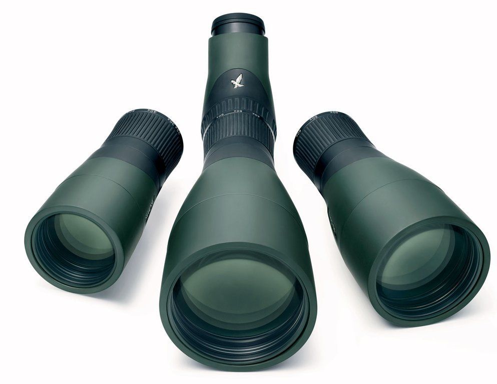 Swarovski STX 25-60x65 Spotting Scope Kit - STX - Straight