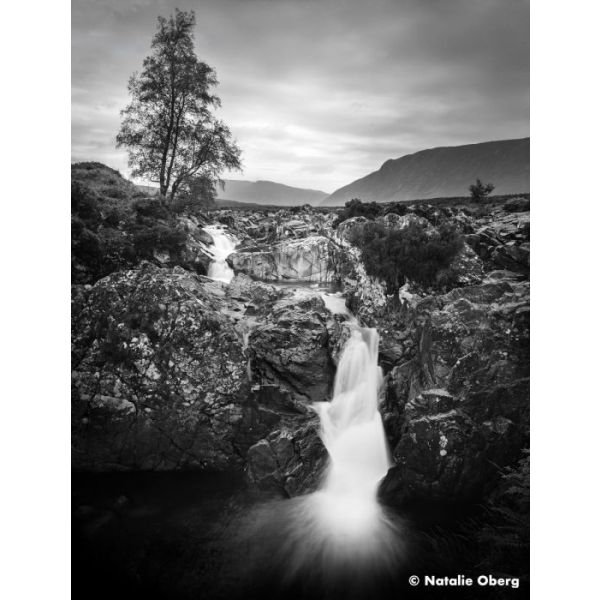 Ilford Ortho Plus 120 Film