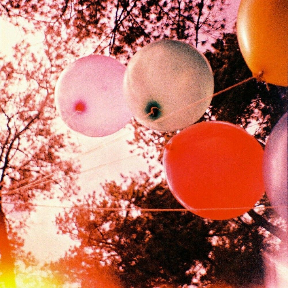 Lomography Diana Mini 35mm Film Camera – Picnic Edition