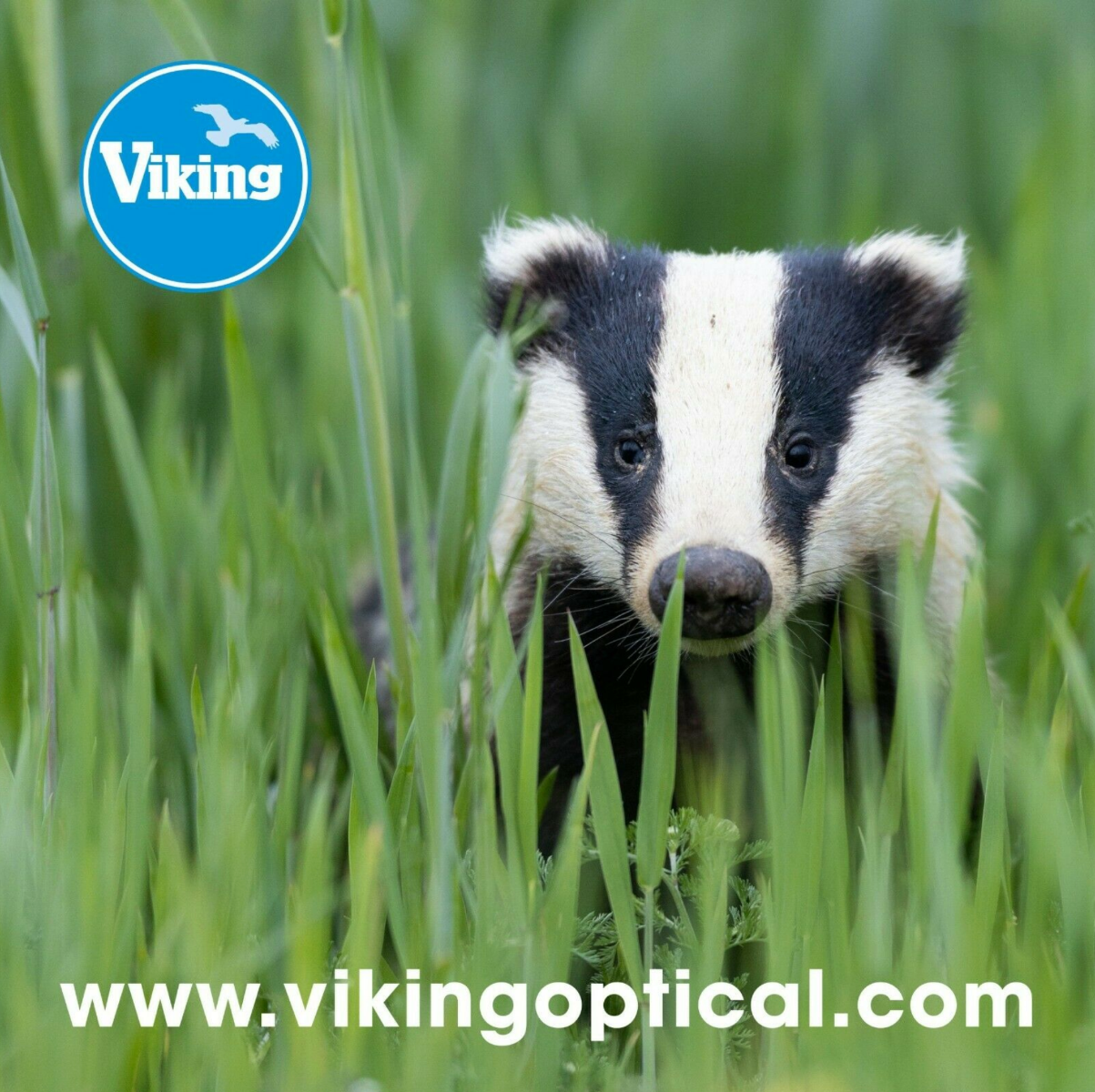 Product Image of Viking Optics 'Badger' Micro Fibre Lens Cloth High Quality 24cm x 24cm