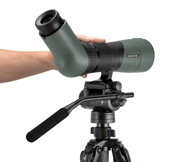 Swarovski ATX 30-70x95 Spotting Scope Kit - ATX - Angled