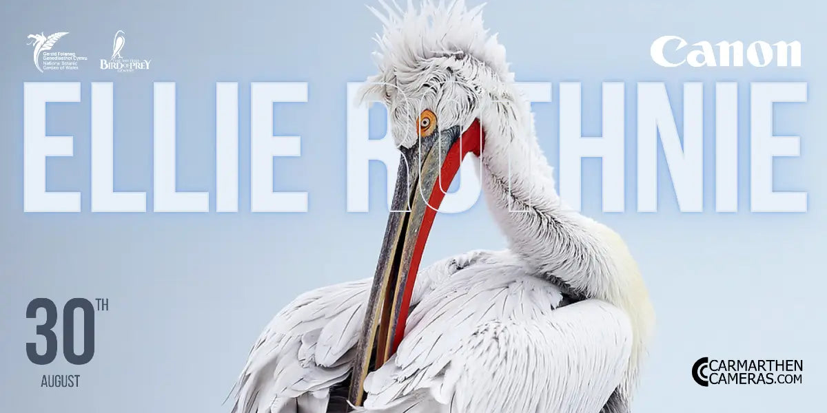 🎤 Guest Speaker Spotlight: Ellie Rothnie at the Welsh Birdwatch Optics