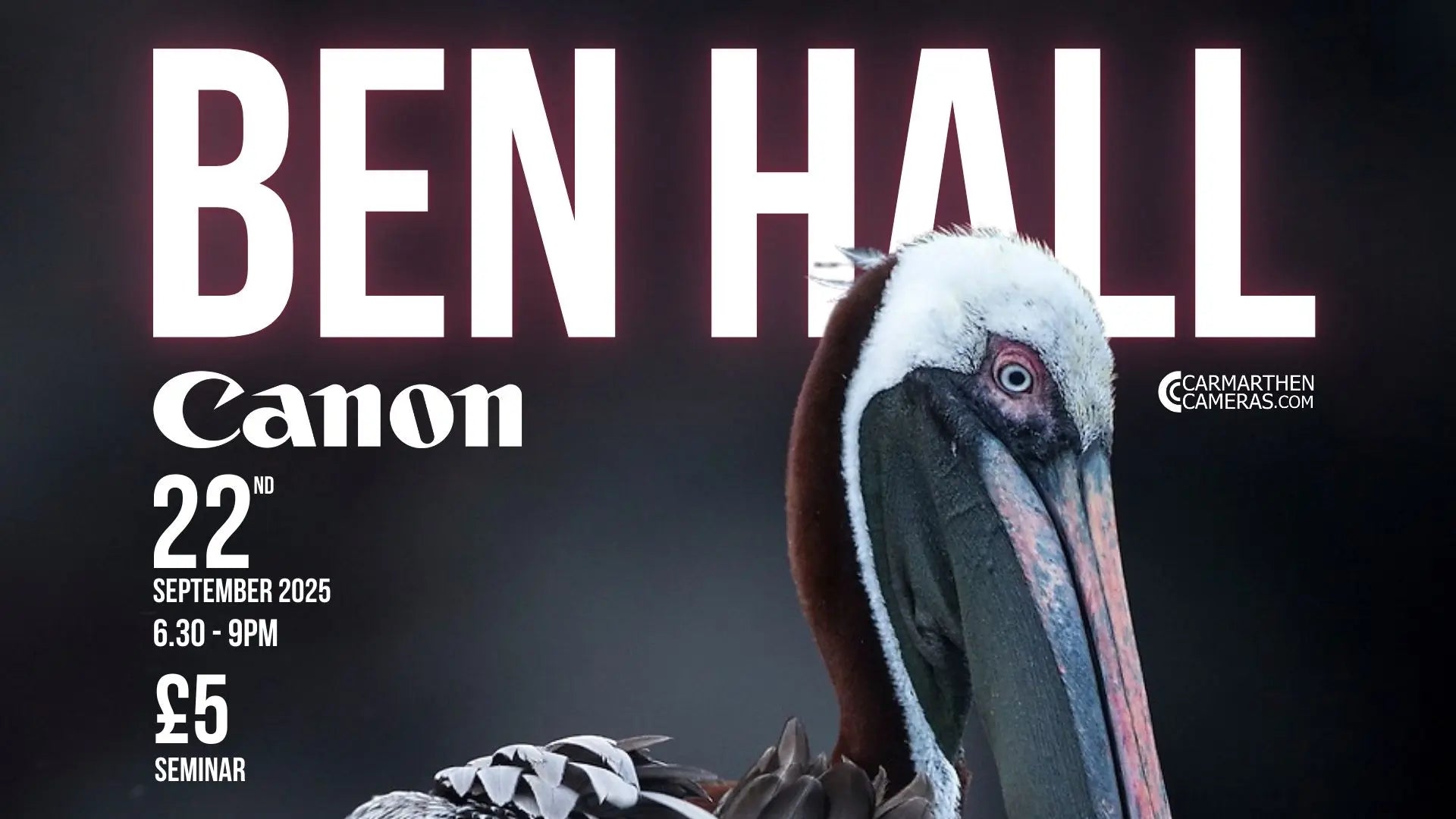 An Evening with Canon UK & Ben Hall – Wildlife Photographer