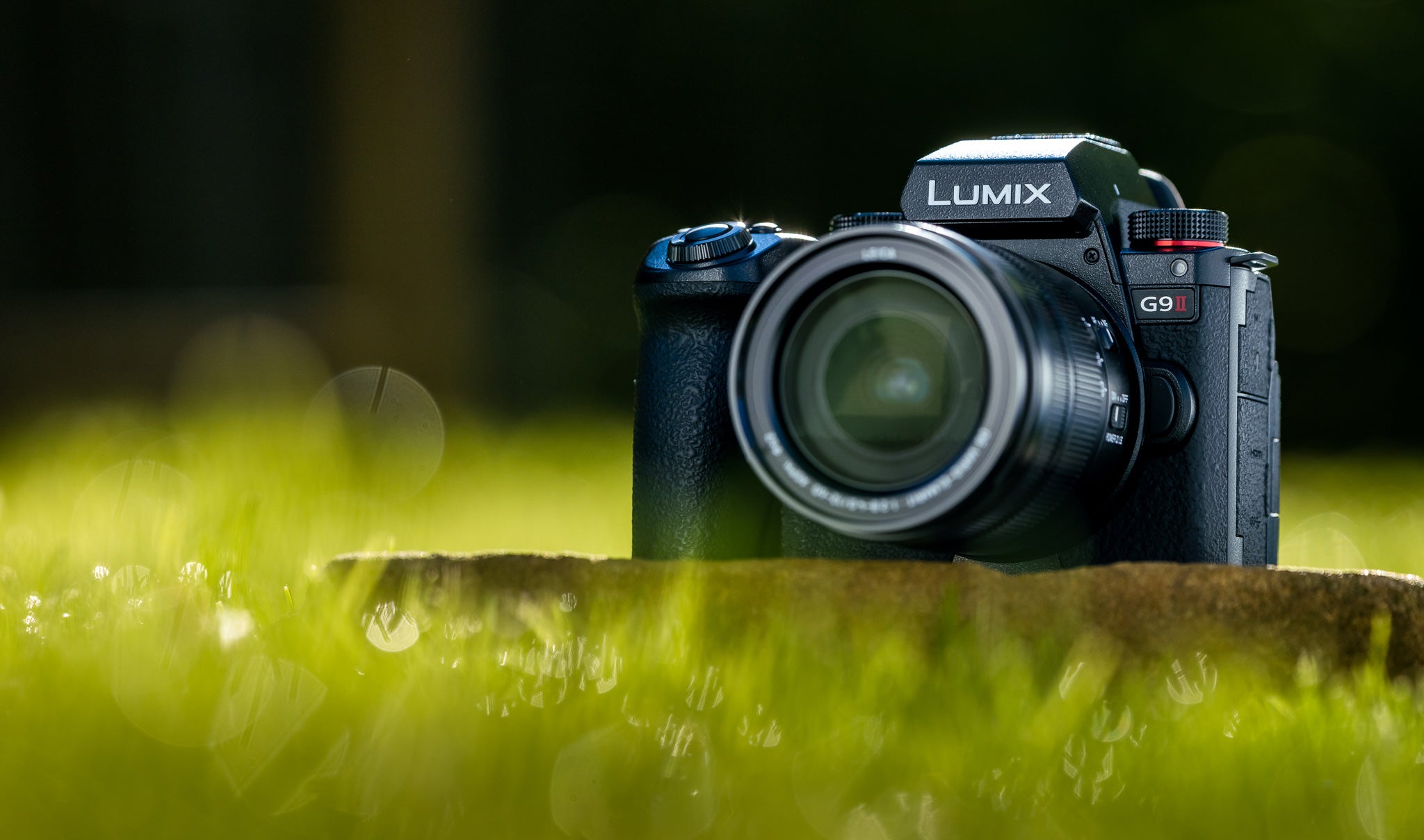 The New Lumix G9II - Capture the Decisive Moment