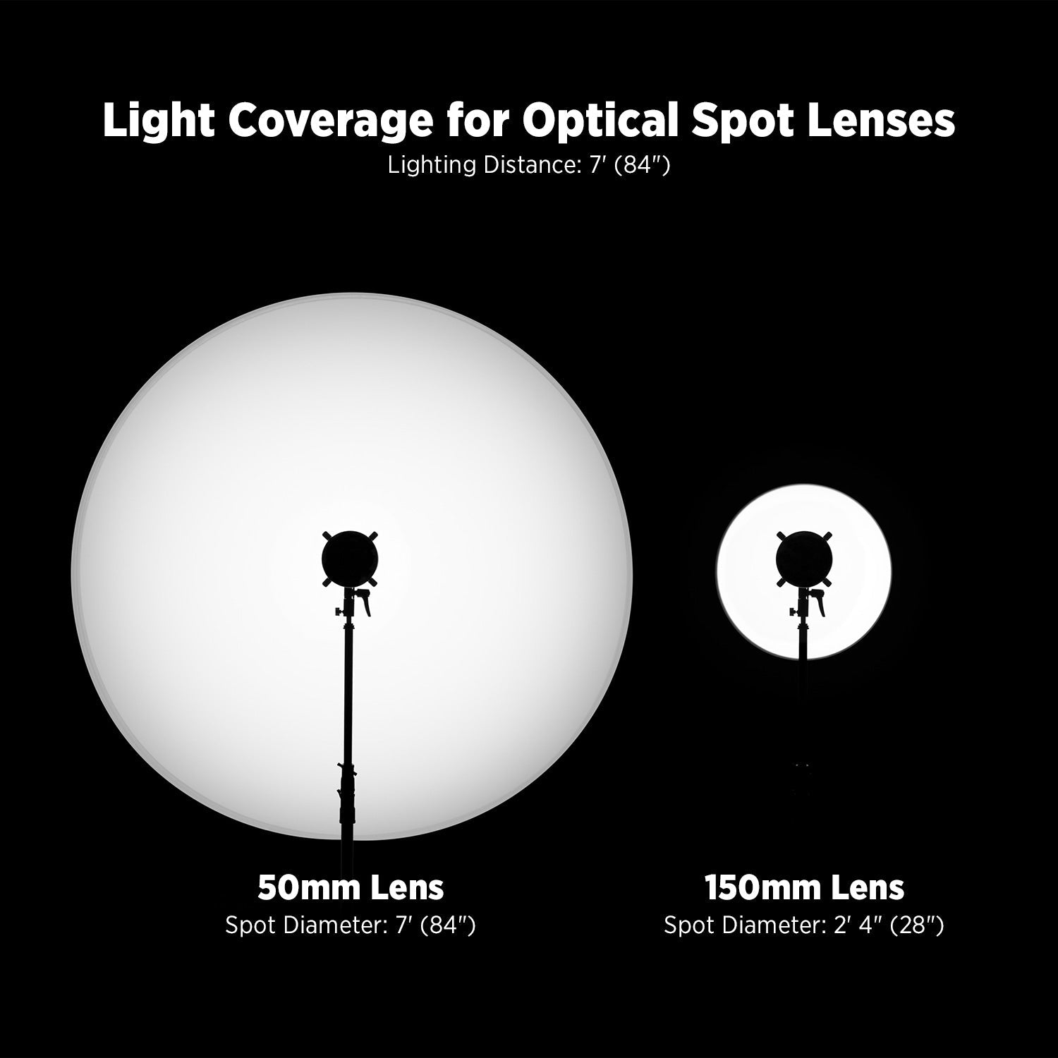 Westcott Optical Spot by Lindsay Adler (50mm f/1.4 Lens, Profoto)