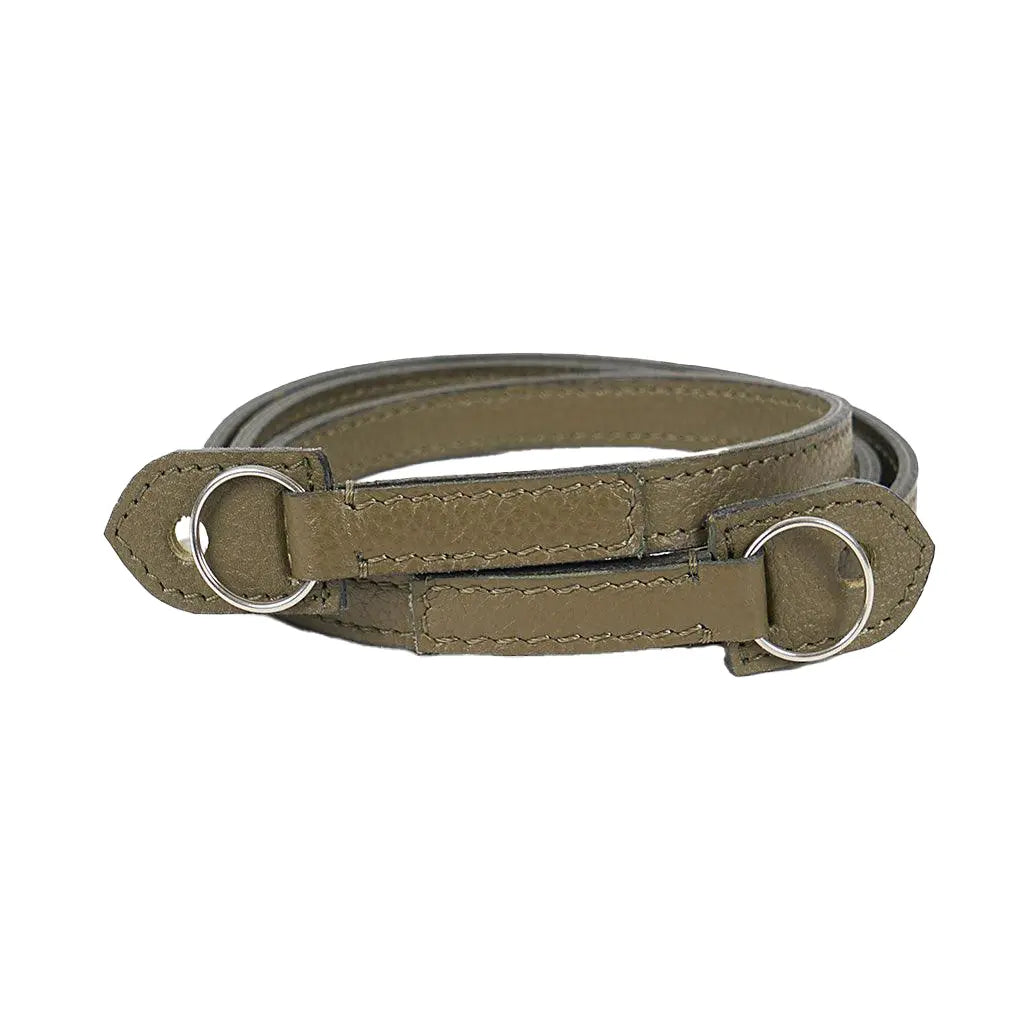 Brown leather dog collar with silver rings on a white background