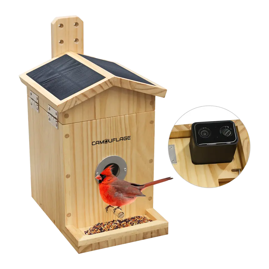 Camouflage EZ NestEye - Bird Box Camera