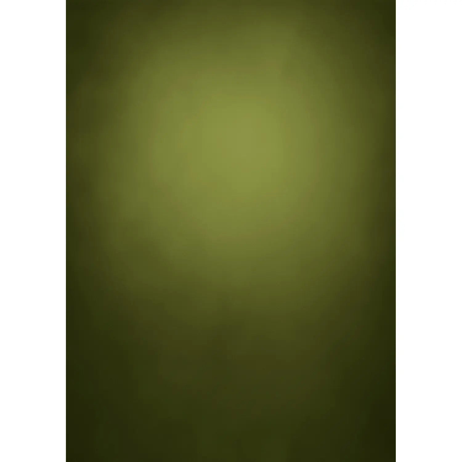 Solid dark green color swatch