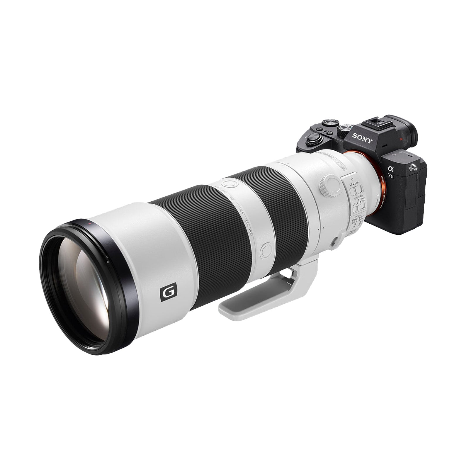 Sony FE 200-600mm f5.6-6.3 G OSS Telephoto lens on camera