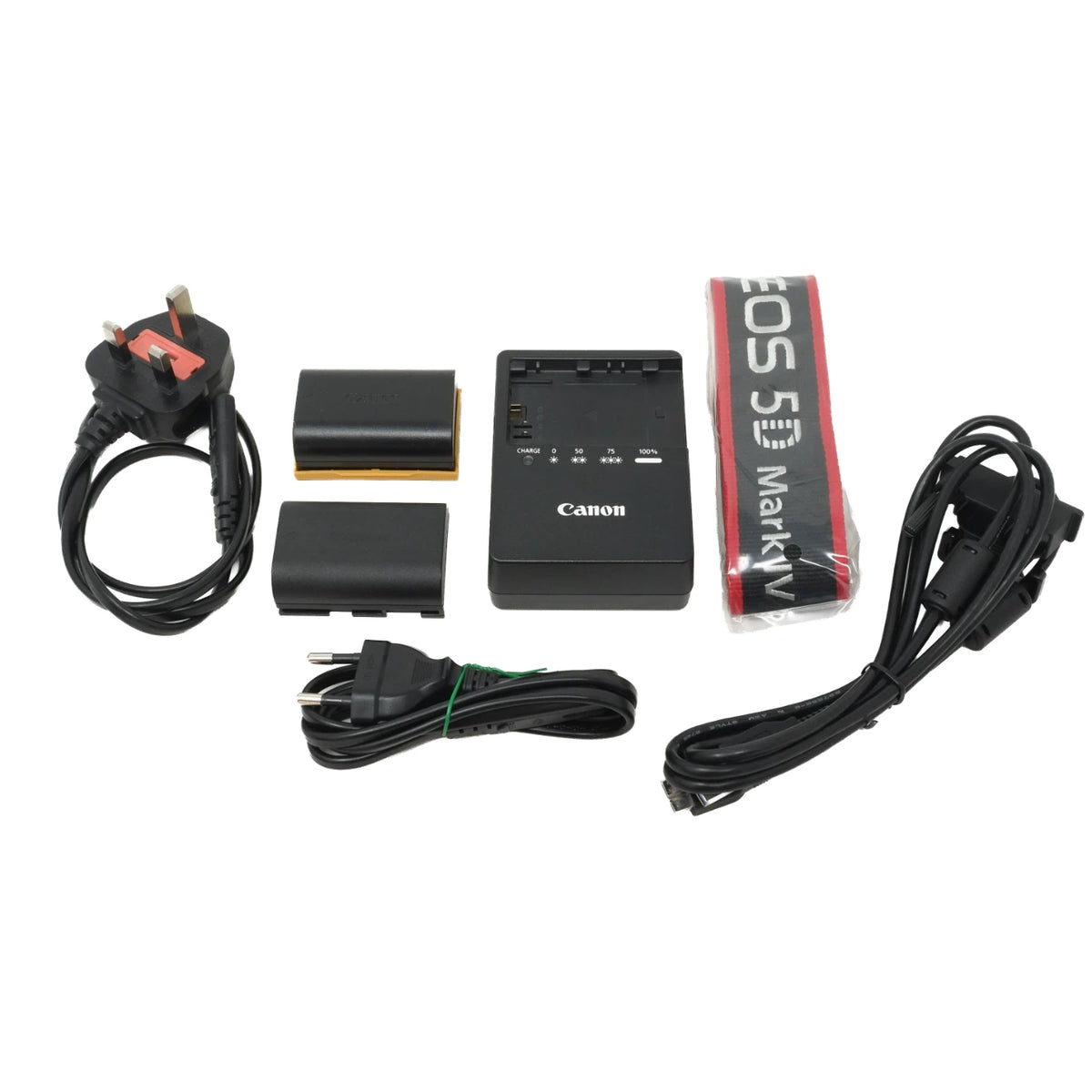 Canon EOS 5D Mark IV camera accessory kit on a white background, including a UK wall plug, battery charger, two battery packs, a carrying strap, and cables.